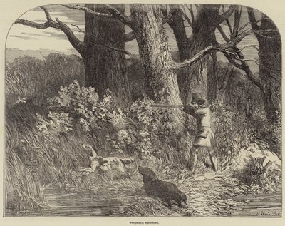 Houtsnip jacht door Harrison William Weir